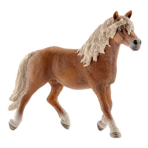 Фигурка лошадки Schleich Хафлингер жеребец 13813 в Детский мир