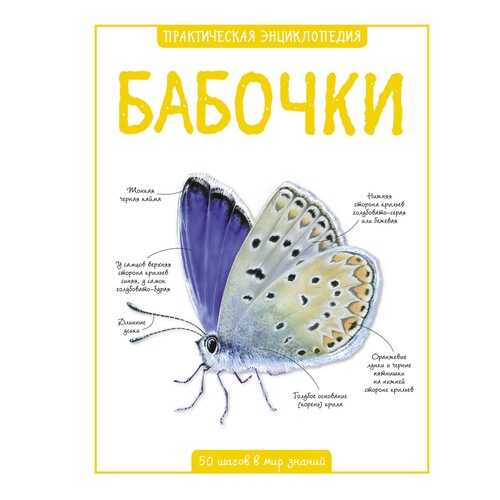 Книга Бабочки в Детский мир